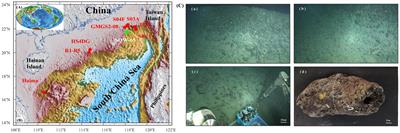 The formation of tubular seep carbonate deciphered from mineralogical and geochemical characteristics: an example from the South China Sea